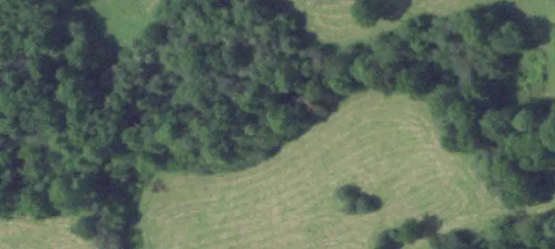 Land / Other