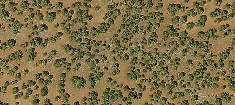 Level Wooded Land Parcel