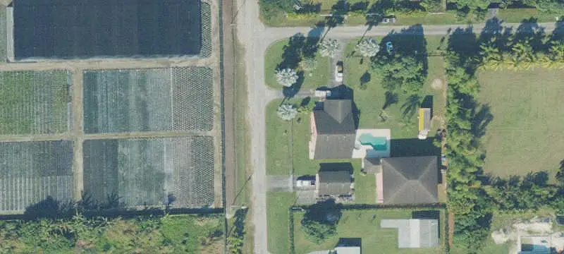 Mango and Mamey Farm