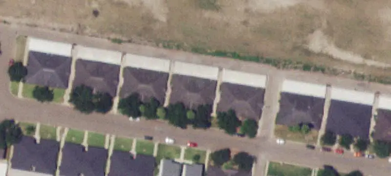 4-Unit Quadplex with Mature Trees