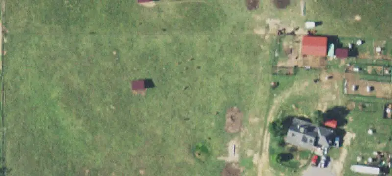 Wooded Agricultural Land