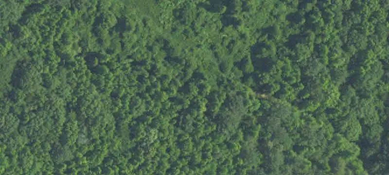 Open Farmland Tract