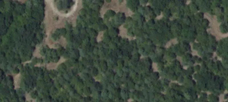Hardwood Ranch Property
