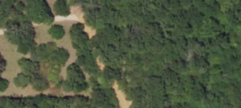Lakefront Wooded Land
