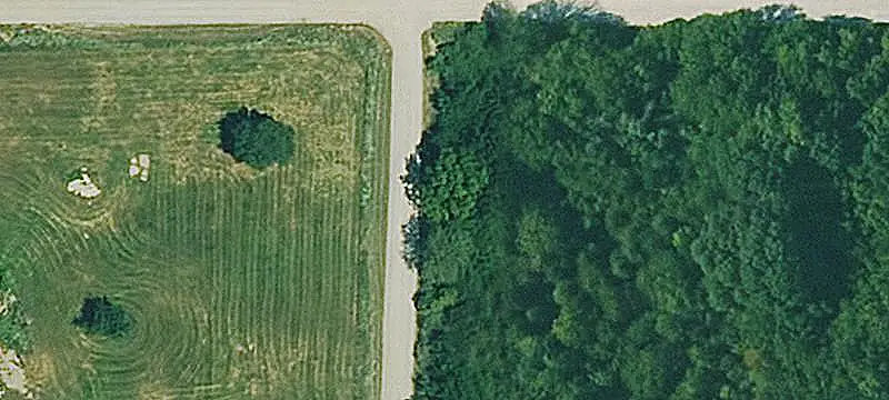 Timbered Hunting Land