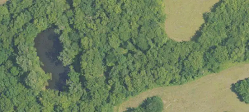 Lots/Land