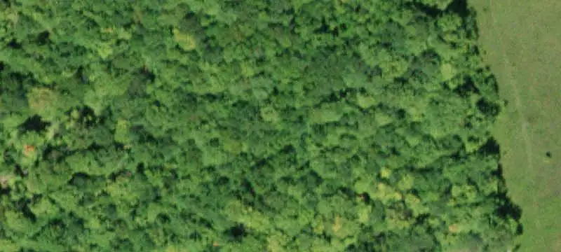 Wooded Recreational Land