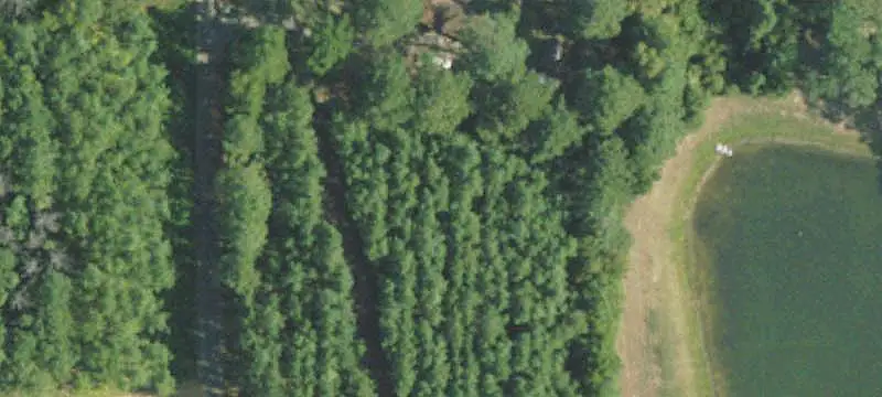 Land