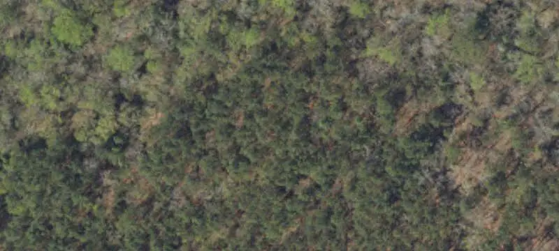 Cleared Land with Creek