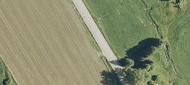 Agricultural Land with Orchard