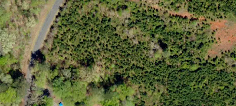 Land