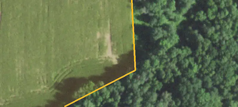 Wooded Spider Lake Waterfront Lot