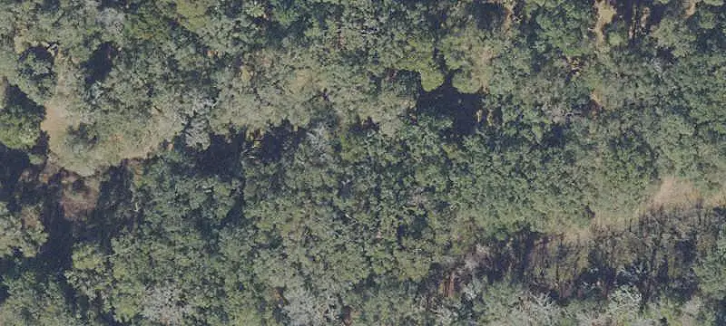 Lots/Land
