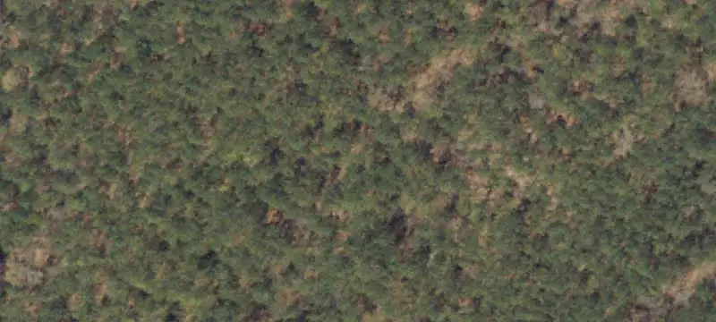Unimproved Land