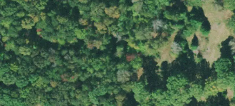 Land / Unimproved Land