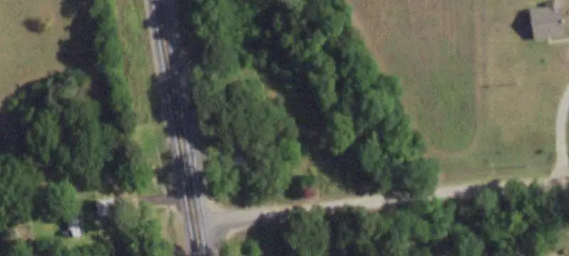 Agricultural Land with Mature Trees
