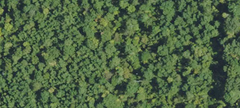 Land / Acreage (10 acres or less)