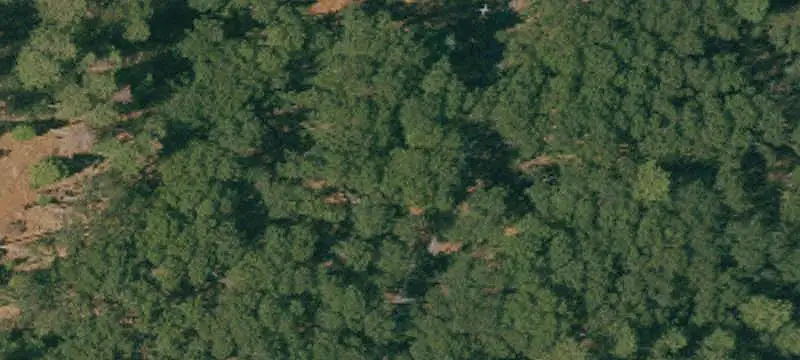 Lots/Land