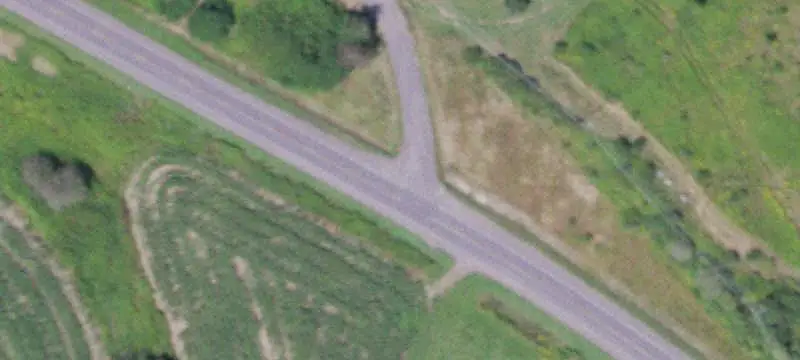 Agricultural Land Near State Forest