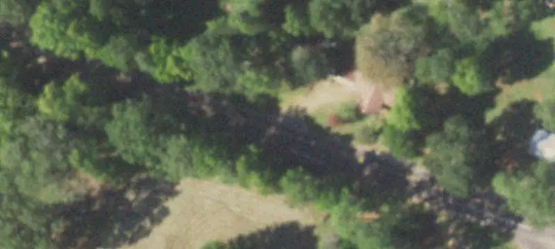 Wooded Land with Electricity