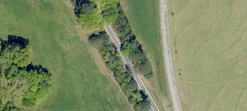 Wooded Hunting Land