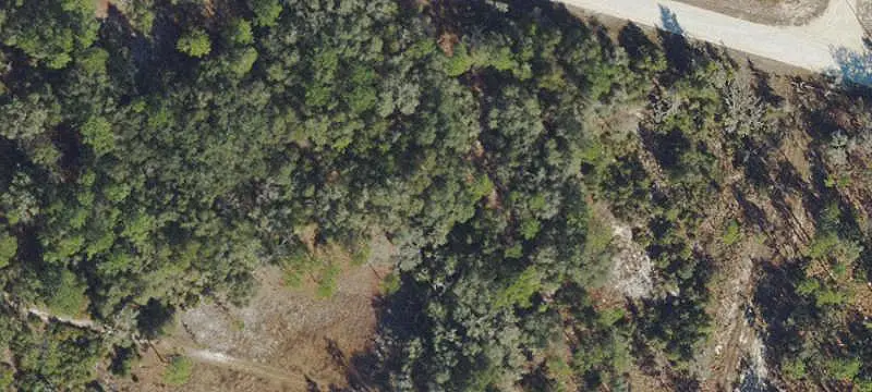 Lot & Land