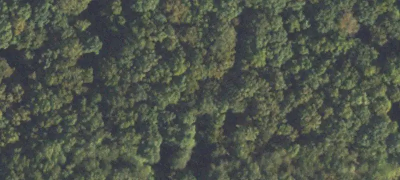 Lots/Land