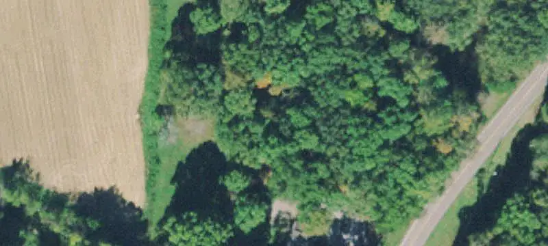 Agricultural Land with Road Frontage
