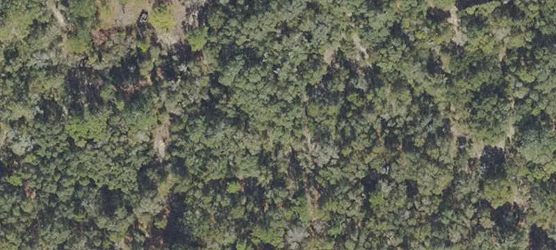 Lots/Land