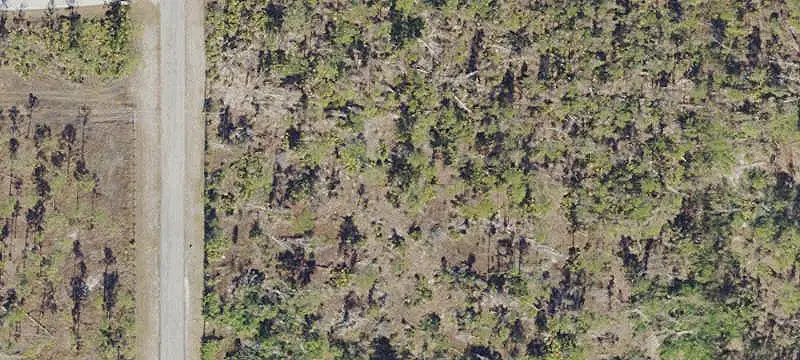 Land/Lot