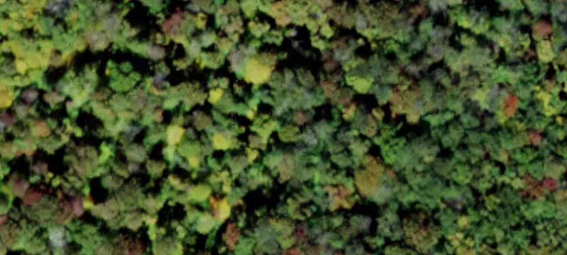 Hunting Land with Year-Round Spring