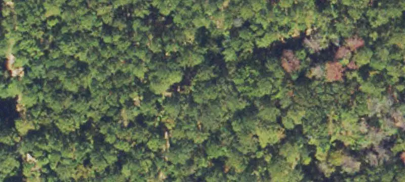 A1-Zoned Agricultural Land
