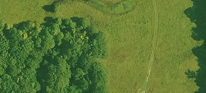 Farm with Ranch-Style Home