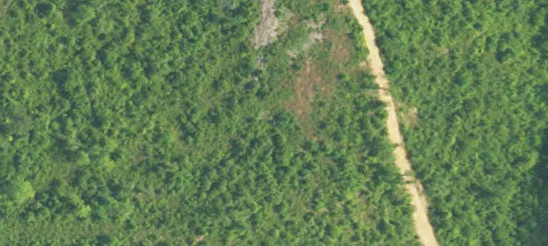 Land