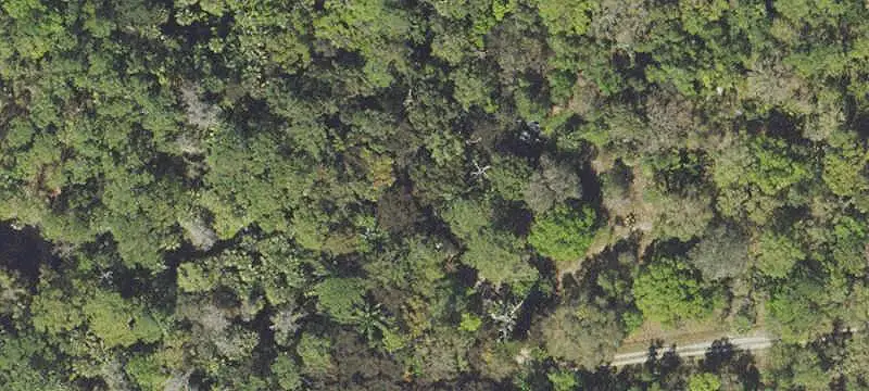Signalized Corner Commercial Land