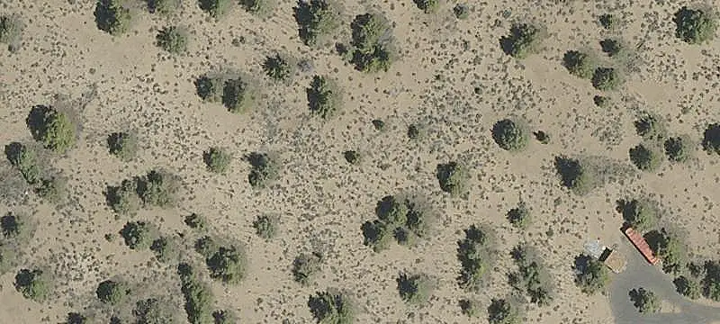 Ranch with Trail Access