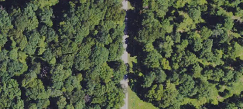 Wooded Corner-Lot Land