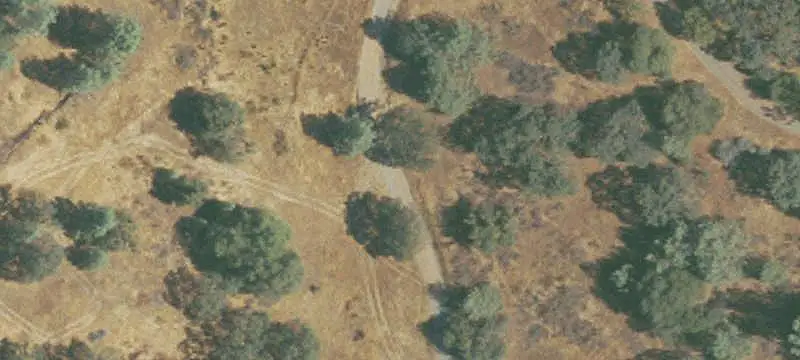 Land/Lot