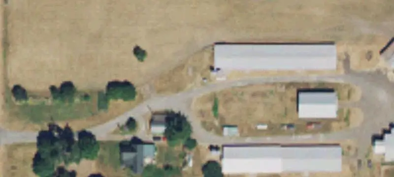 Farm Property With Poultry Barns