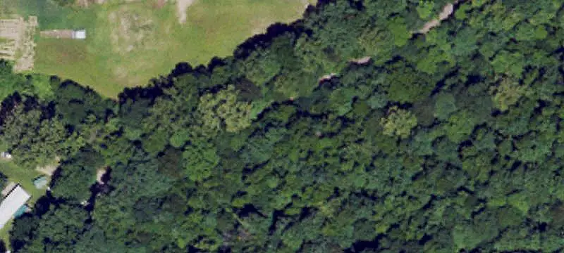 Wooded Hunting Land
