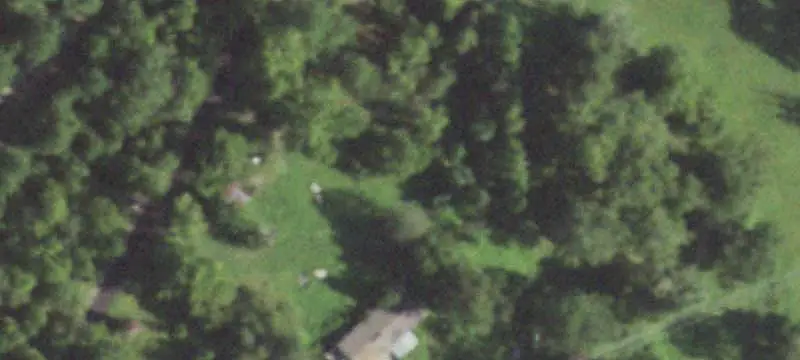 Managed Pine Agricultural Land