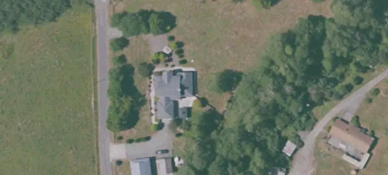 Wooded Timberland Acreage
