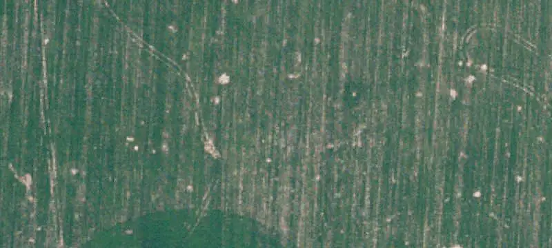 Farmstead with Barns