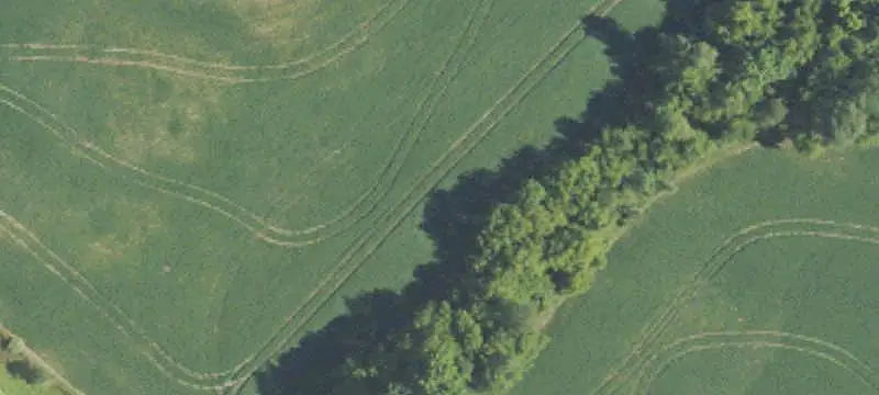 Agricultural Farmland