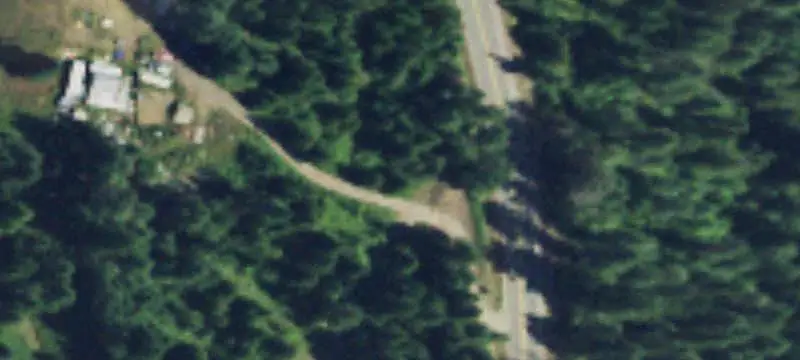 Treed Land Parcel
