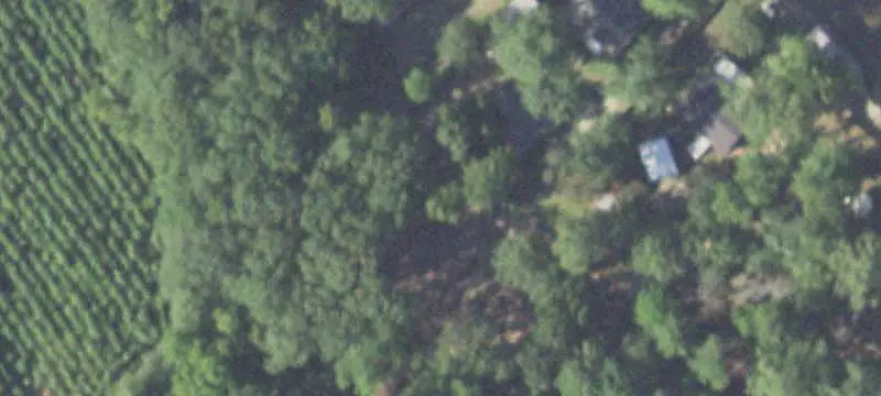 Land / Rural