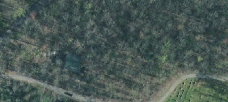 Land with Mountain Setting