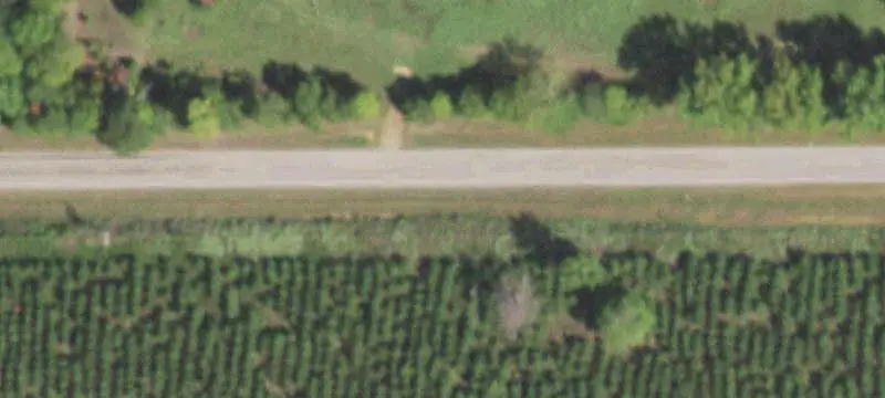 Pine-Tree Farmland with Road Frontage