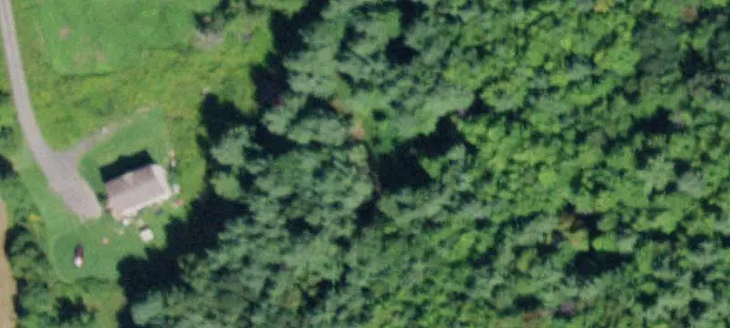 Wooded Recreation Parcel
