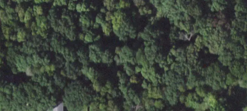 Wooded Office Building